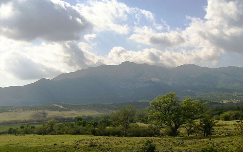 Anza Roofing Company