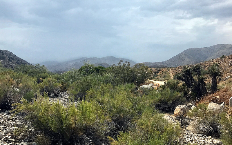 Morongo Valley Roofing