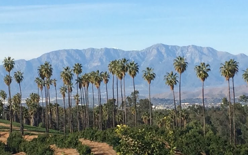 Woodcrest Roofing Company