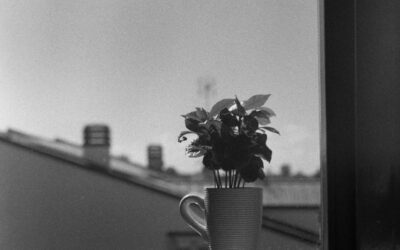 Which roofing material is best for my San Diego home and climate?