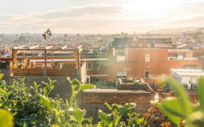 What Should I Do After a Big Wind or Hail Storm Hits My Roof? San Diego’s Industrious Roofing Experts Recommend These Steps